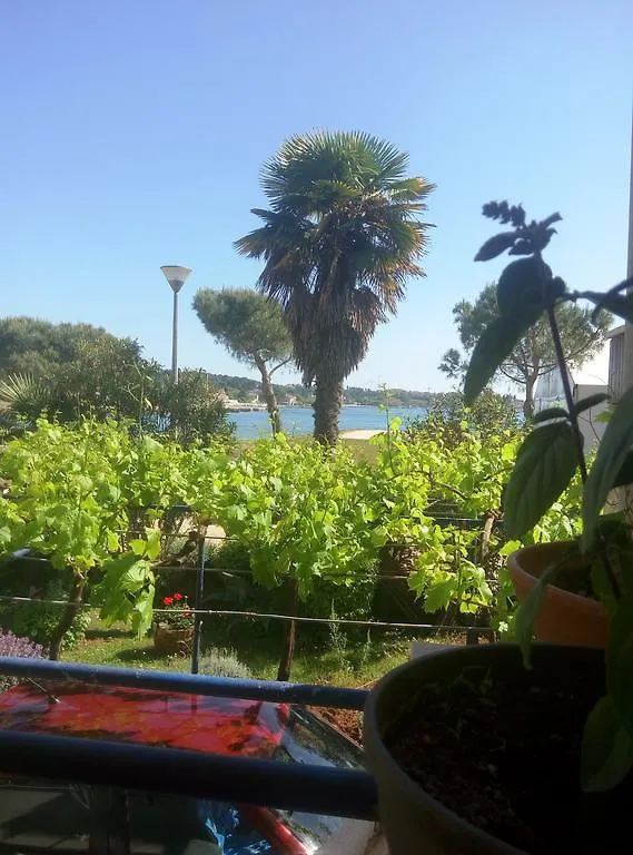 Linea Mare Apartment